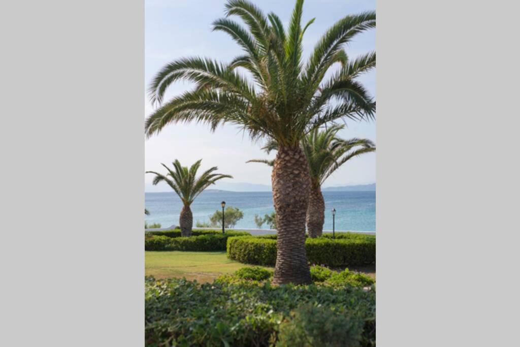 Palmaya Villa, Unique Seafront Experience Vagia  Luaran gambar