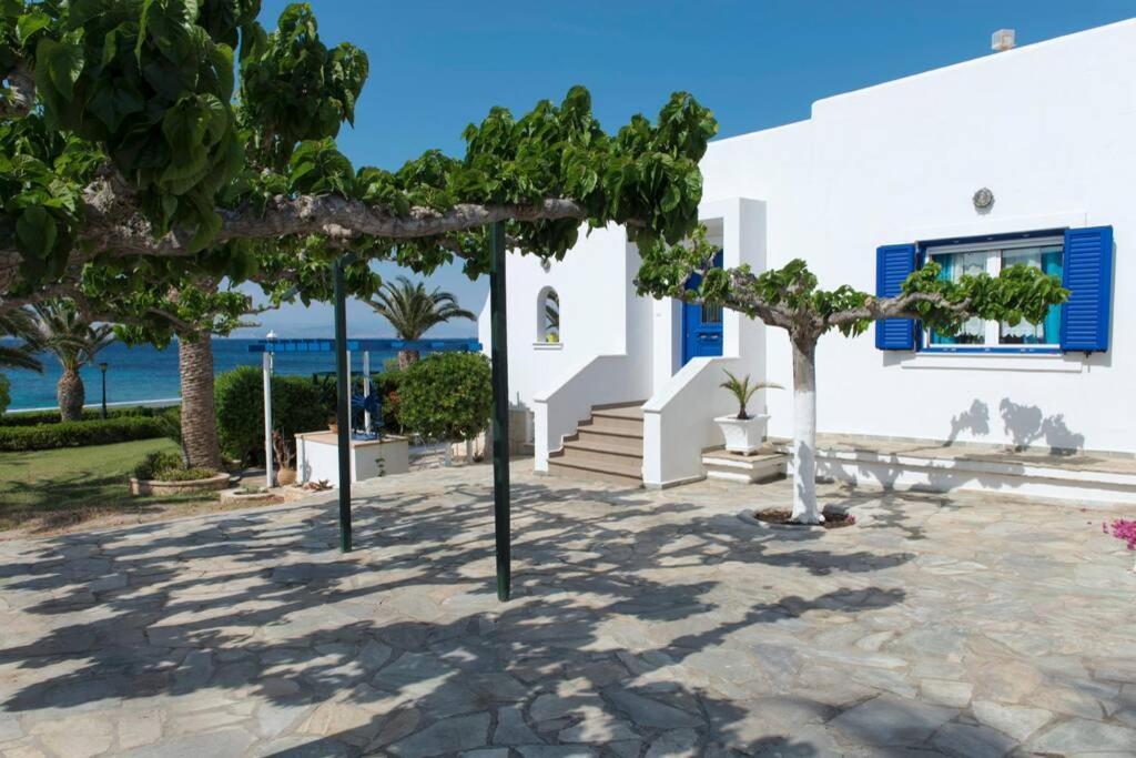 Palmaya Villa, Unique Seafront Experience Vagia  Luaran gambar