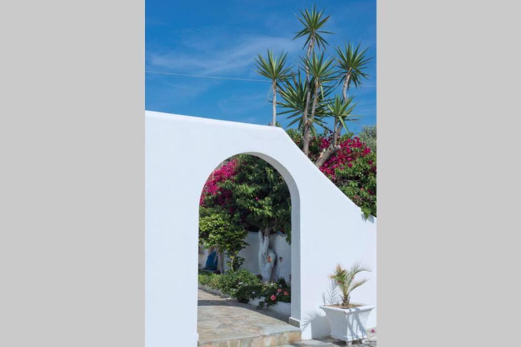 Palmaya Villa, Unique Seafront Experience Vagia  Luaran gambar