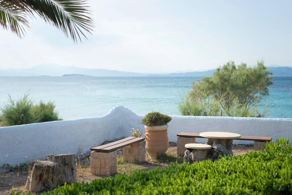 Palmaya Villa, Unique Seafront Experience Vagia  Luaran gambar